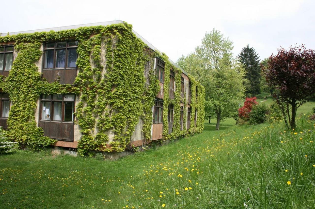 Waldblick Appartement Ober-Hambach Exterior foto